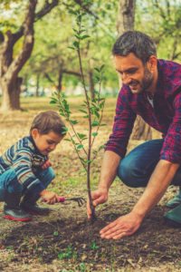 father and son gardening and planting a tree