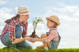 planting trees call before you dig